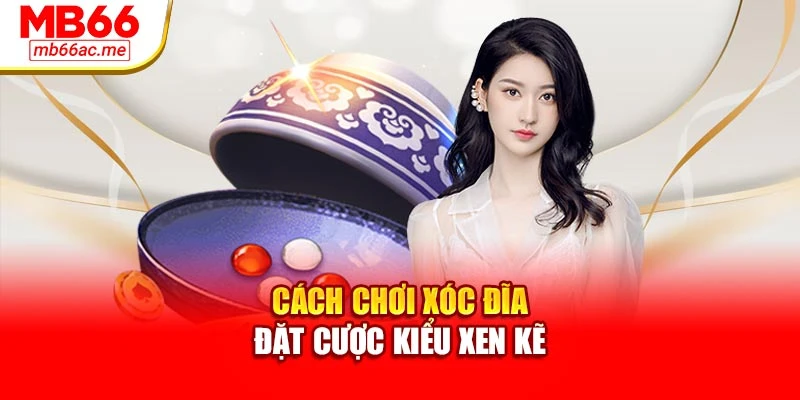 Cách Chơi Xóc Đĩa Hiệu Quả Và Chính Xác Trong Từng Ván Cược 3 Cách chơi xóc đĩa - đặt cược kiểu xen kẽ