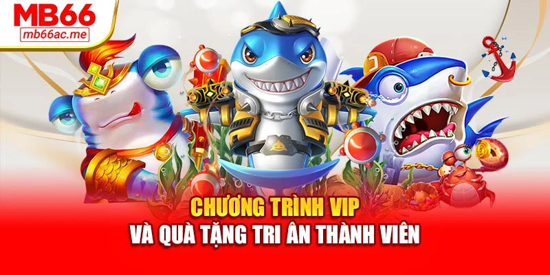 Bắn Cá H5 Mb66 Tối Ưu Trải Nghiệm Đỉnh Cao Năm Nay 4 Chương trình VIP và quà tặng tri ân thành viên
