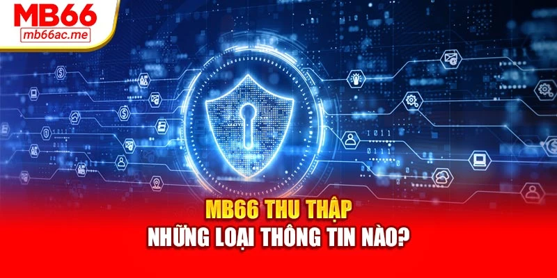 chính sách bảo mật 3 MB66 thu thập những loại thông tin nào?