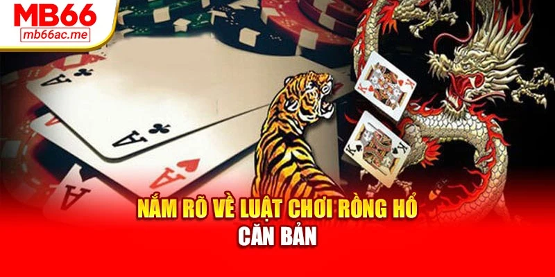 Cách Chơi Rồng Hổ Dễ Dàng - Cơ Hội Nhận Thưởng Ngay 2 Nắm rõ về luật chơi Rồng Hổ căn bản