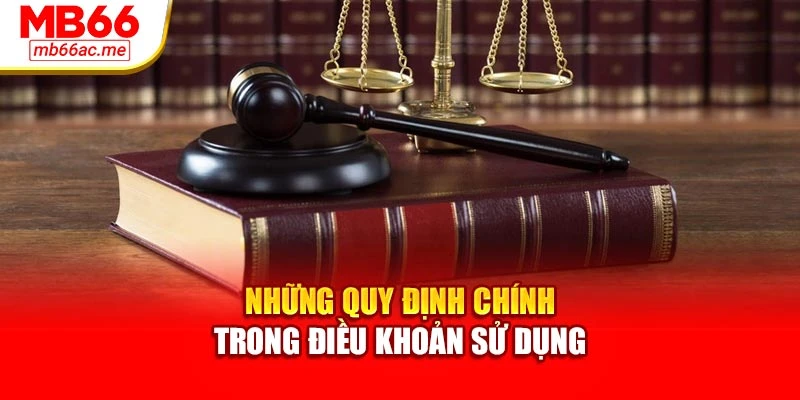Điều khoản sử dụng 3 Những quy định chính trong điều khoản sử dụng
