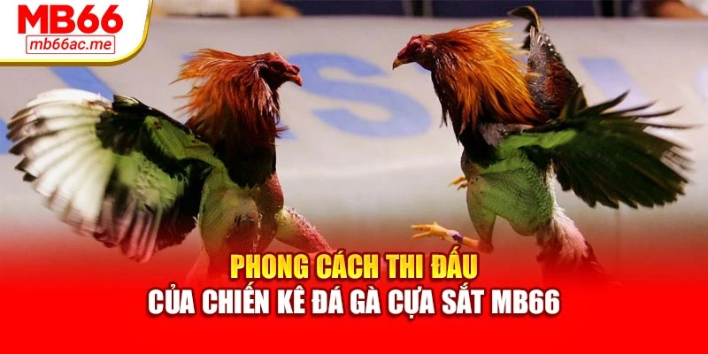 Đá Gà Cựa Sắt Mb66 Kịch Tính, Dễ Cược, Thưởng Hấp Dẫn 3 Phong cách thi đấu của chiến kê đá gà cựa sắt MB66