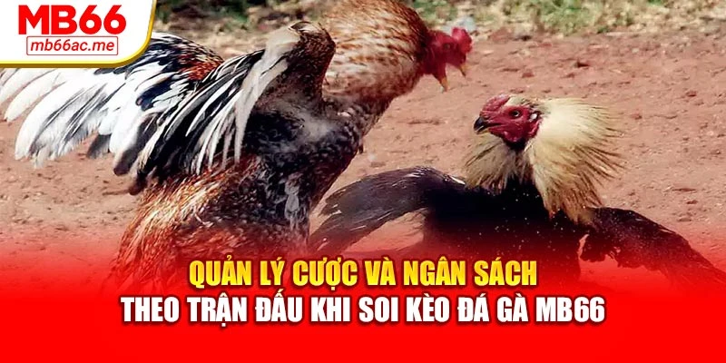 Soi Kèo Đá Gà Mb66 - Phân Tích Chiến Kê Chuyên Sâu 3 Quản lý cược và ngân sách theo trận đấu khi soi kèo đá gà MB66