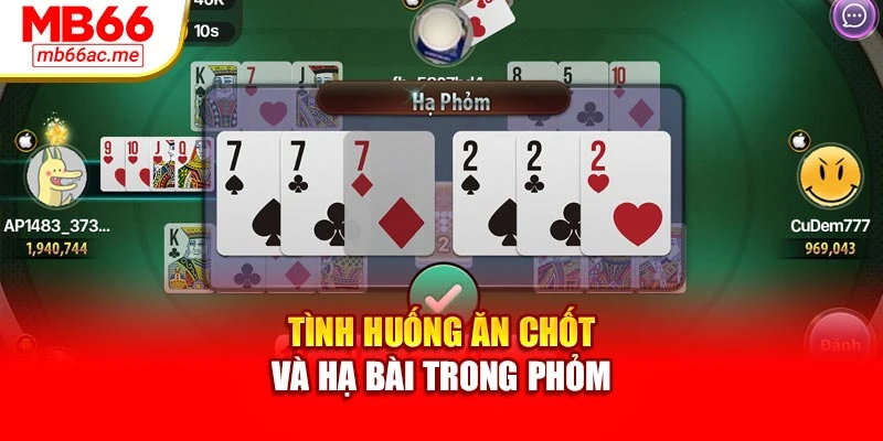 Cách Chơi Bài Phỏm Mb66 Chi Tiết Cho Người Mới Dễ Học 3 Tình huống ăn chốt và hạ bài trong phỏm
